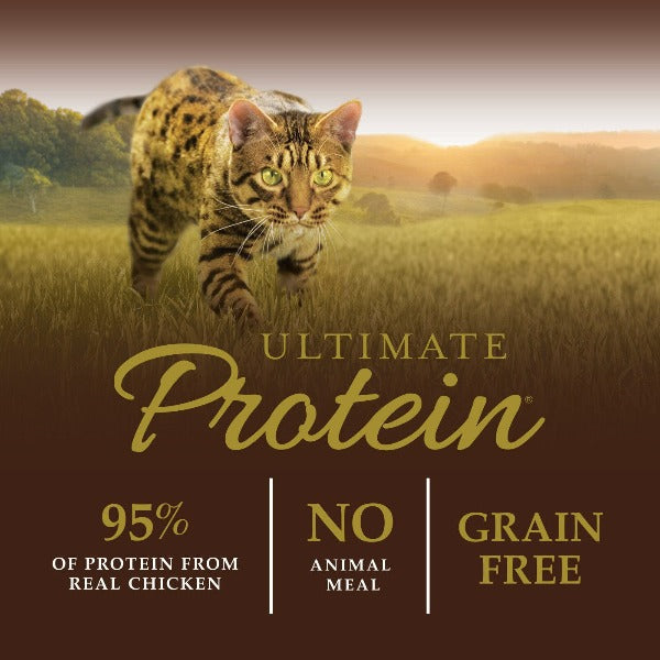 Instinct Ultimate Protein Chicken Recipe Dry Cat Food for Adult Cats - High Protein Grain-Free Kibble, 4 lb Bag - Supports Muscle Health & Energy for Indoor & Outdoor Cats