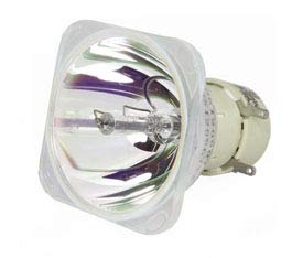 Technical Precision Replacement Lamp Bulb for INFOCUS IN124X Projector - High-Quality Bare LAMP ONLY for Home Theater, Office Presentations & Classroom Projectors