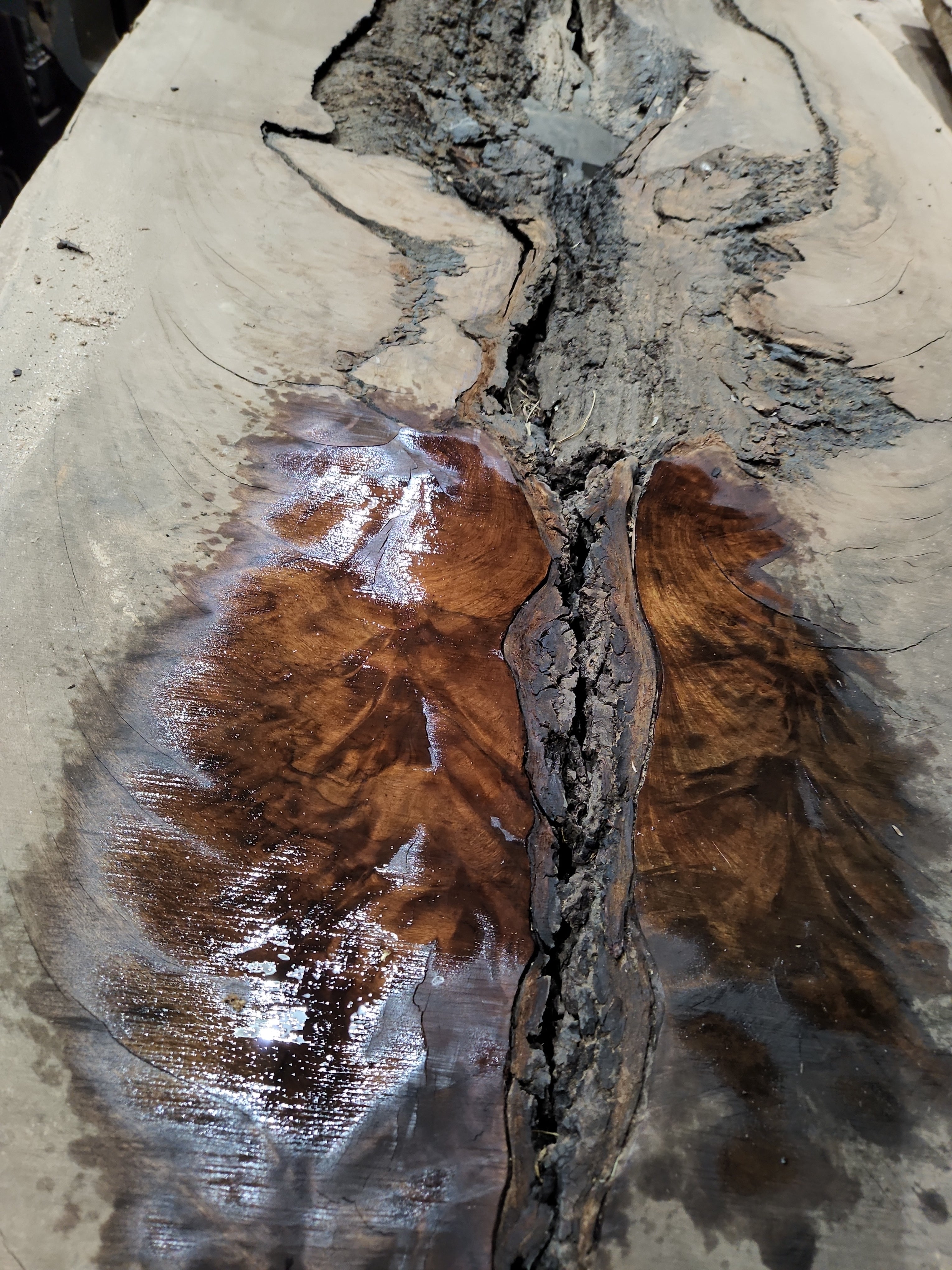 Premium Ironbark Wood Slab IB1 - Natural Australian Hardwood for DIY Furniture, Table Tops, and Home Decor Projects - Perfect for Rustic, Modern, and Industrial Style Designs