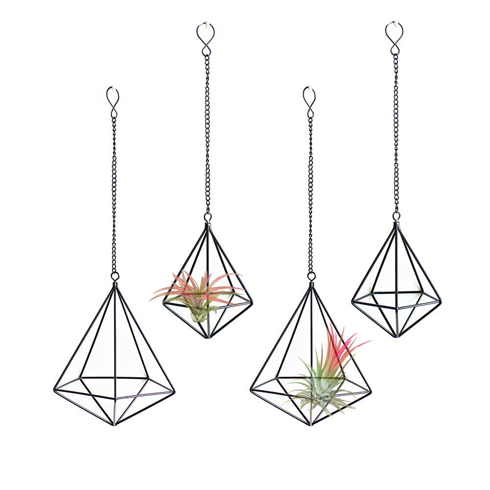 Geometric Metal Air Plant Hangers - 4 Pack Black Tillandsia Display Cages for Indoor Plants | Modern Home & Office Décor | Perfect for Living Rooms, Bedrooms & Workspaces