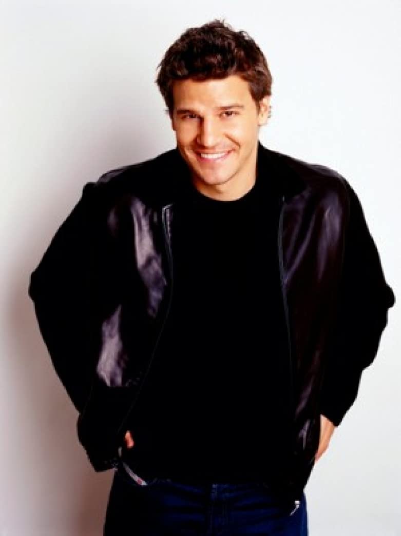 Spot Dog David Boreanaz - 18x24 Inch Premium Poster Print (ID: PDI571649) - Perfect for Home Decor, Office Wall Art & Gift for TV Show Fans