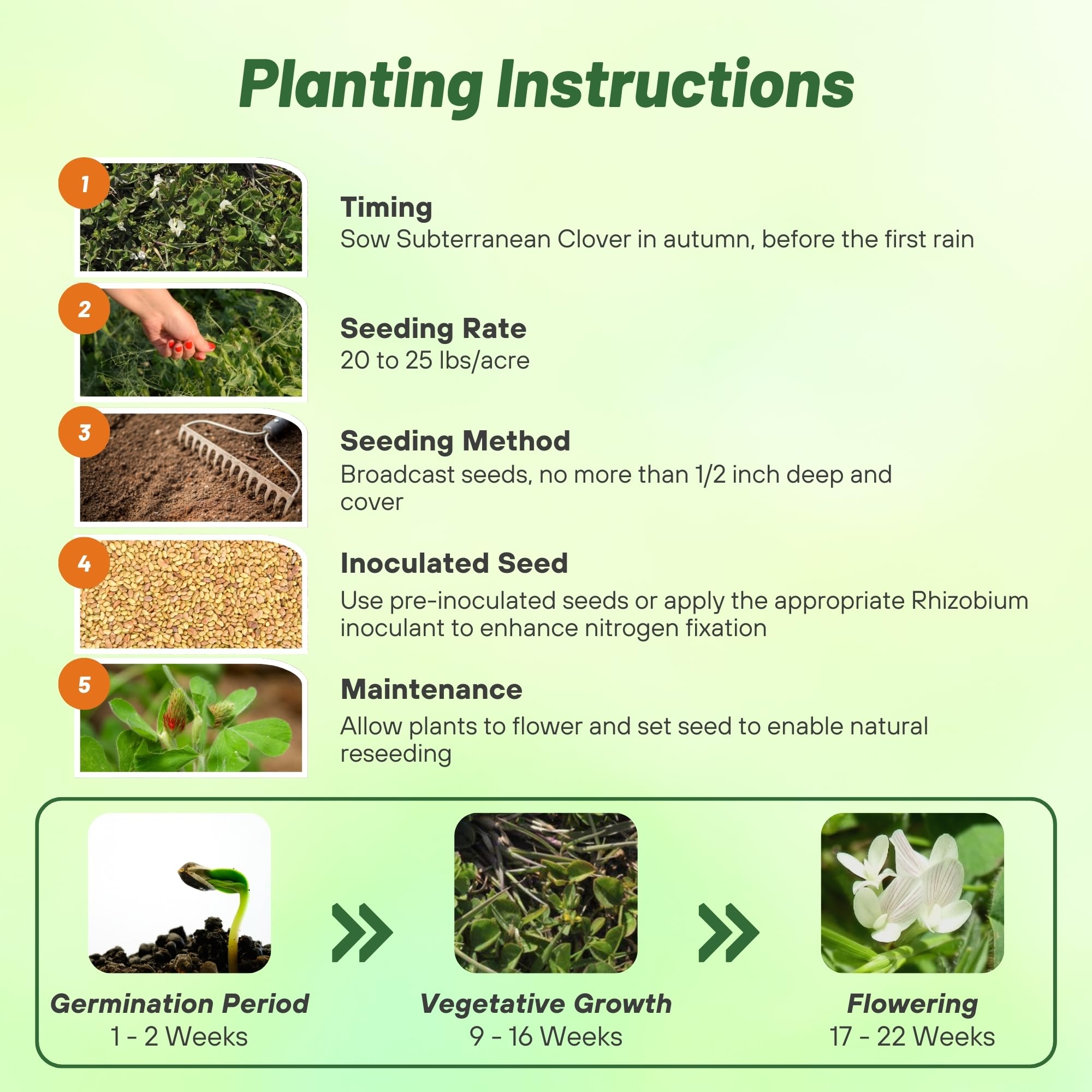 Outsidepride Annual Subterranean Clover Seeds for Lawn - 50 lbs. Cold Hardy, Nitrogen-Fixing Cover Crop Seeds for Pasture, Forage & Ground Cover | Soil Improvement & Wildlife Grazing | Perfect for Pastures, Gardens & Erosion Control