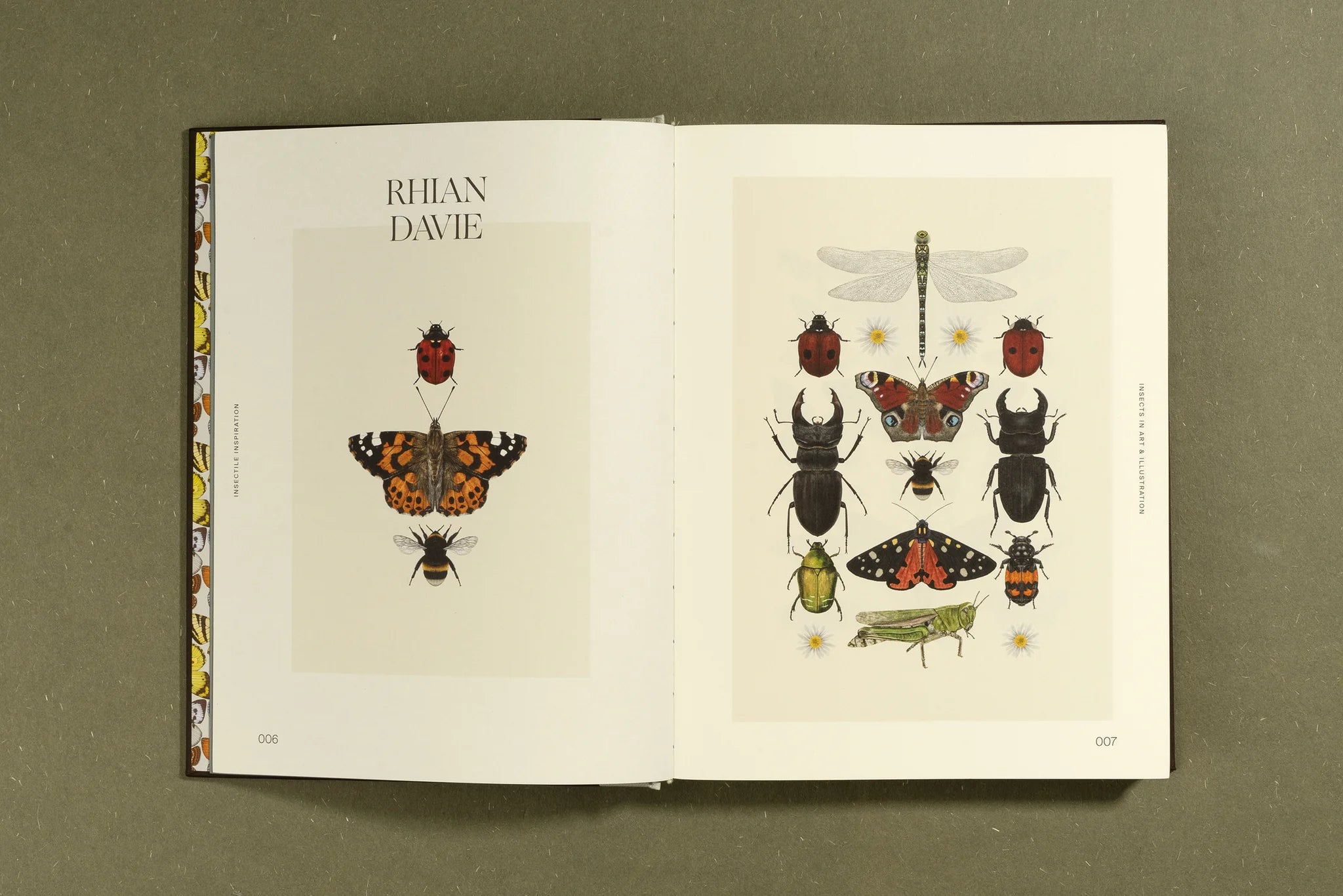 Insectile Inspiration: Insects in Art and Illustration - Unique Wall Decor for Nature Lovers & Home Office Aesthetics