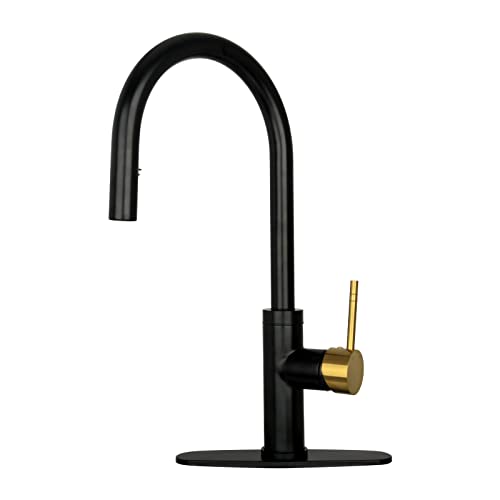 Matte Black with Brass Gold