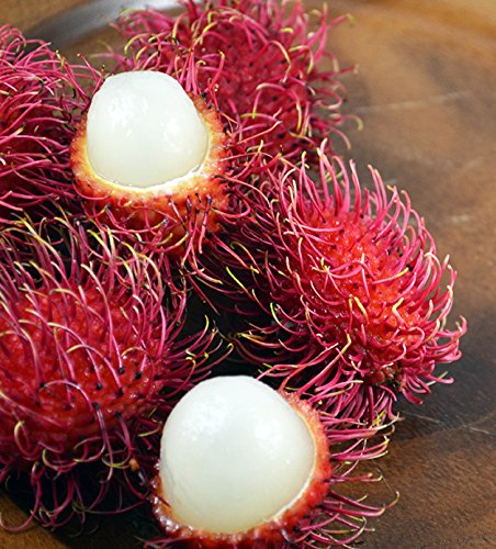 Fresh Rambutan Fruit (5lb) - Exotic Tropical Fruit, Sweet & Juicy, Perfect for Snacking, Smoothies & Fruit Salads
