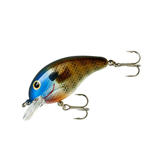 River Bream