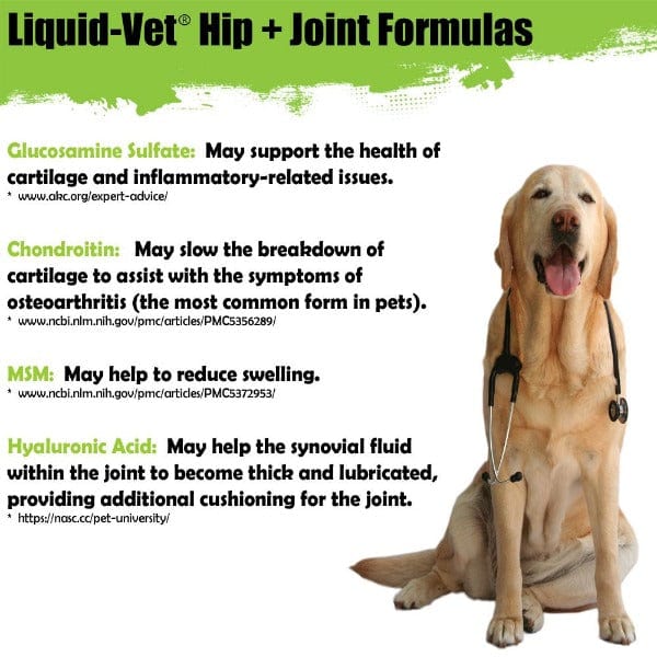 Liquid Vet Hip & Joint Supplement for Dogs - Advanced Formula with Pot Roast Flavor - 2 Pack - Supports Mobility & Joint Health for Active & Senior Dogs