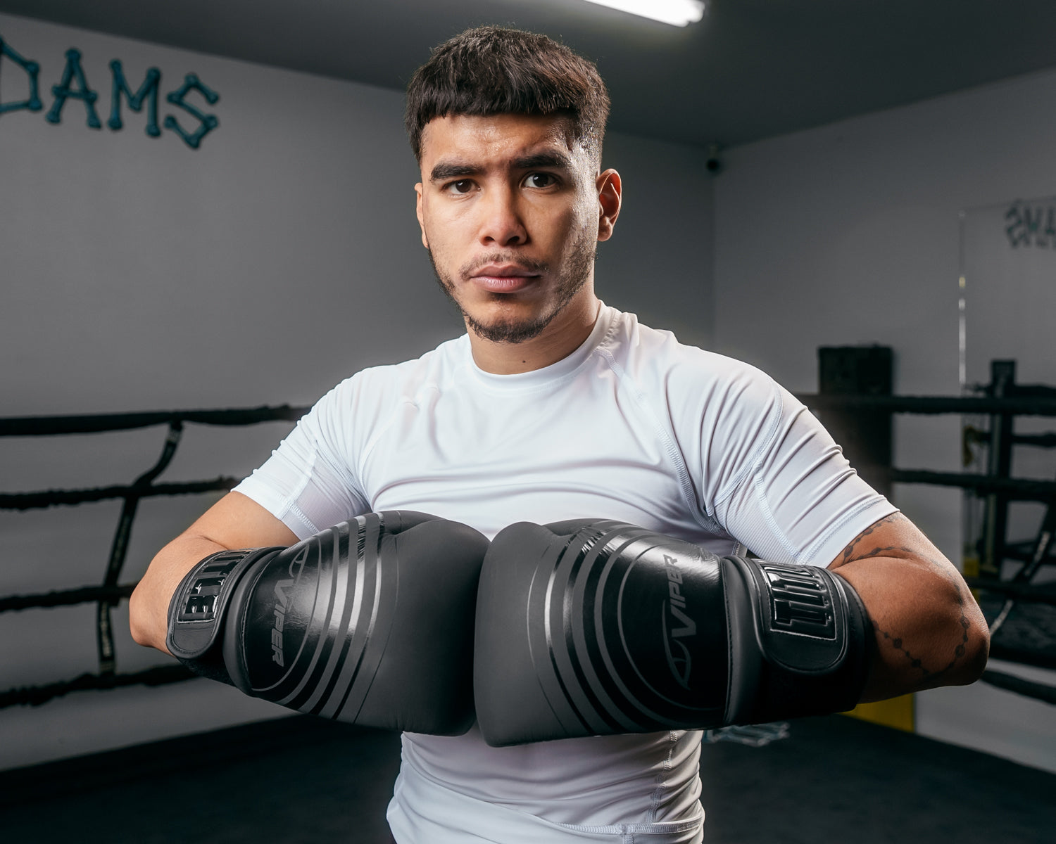 TITLE Boxing Select Training Boxing Gloves 2.0 - Premium Viper Series for MMA, Kickboxing & Fitness Training - Perfect for Sparring, Bag Work & Gym Sessions