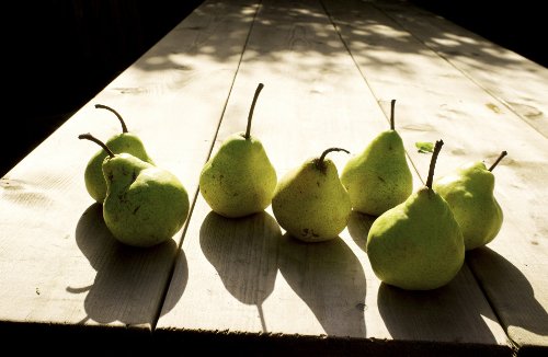 River Cottage Fruit Every Day! - Fresh & Healthy Fruit Recipes for Daily Meals | Perfect for Breakfast, Snacks & Desserts