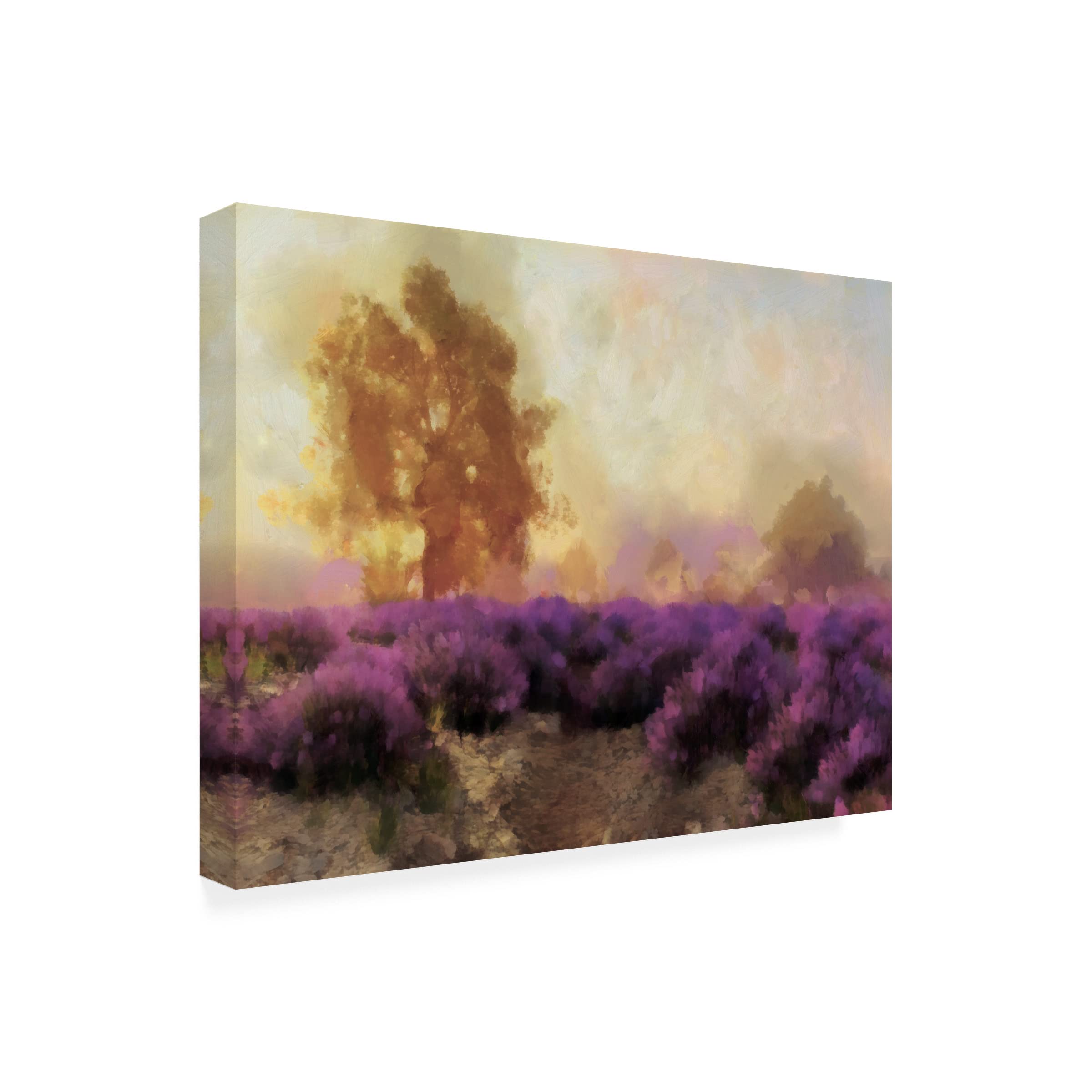 Trademark Fine Art 'Purple Countryside II' Canvas Wall Art by Alonzo Saunders - Landscape Painting for Living Room, Bedroom & Office Decor