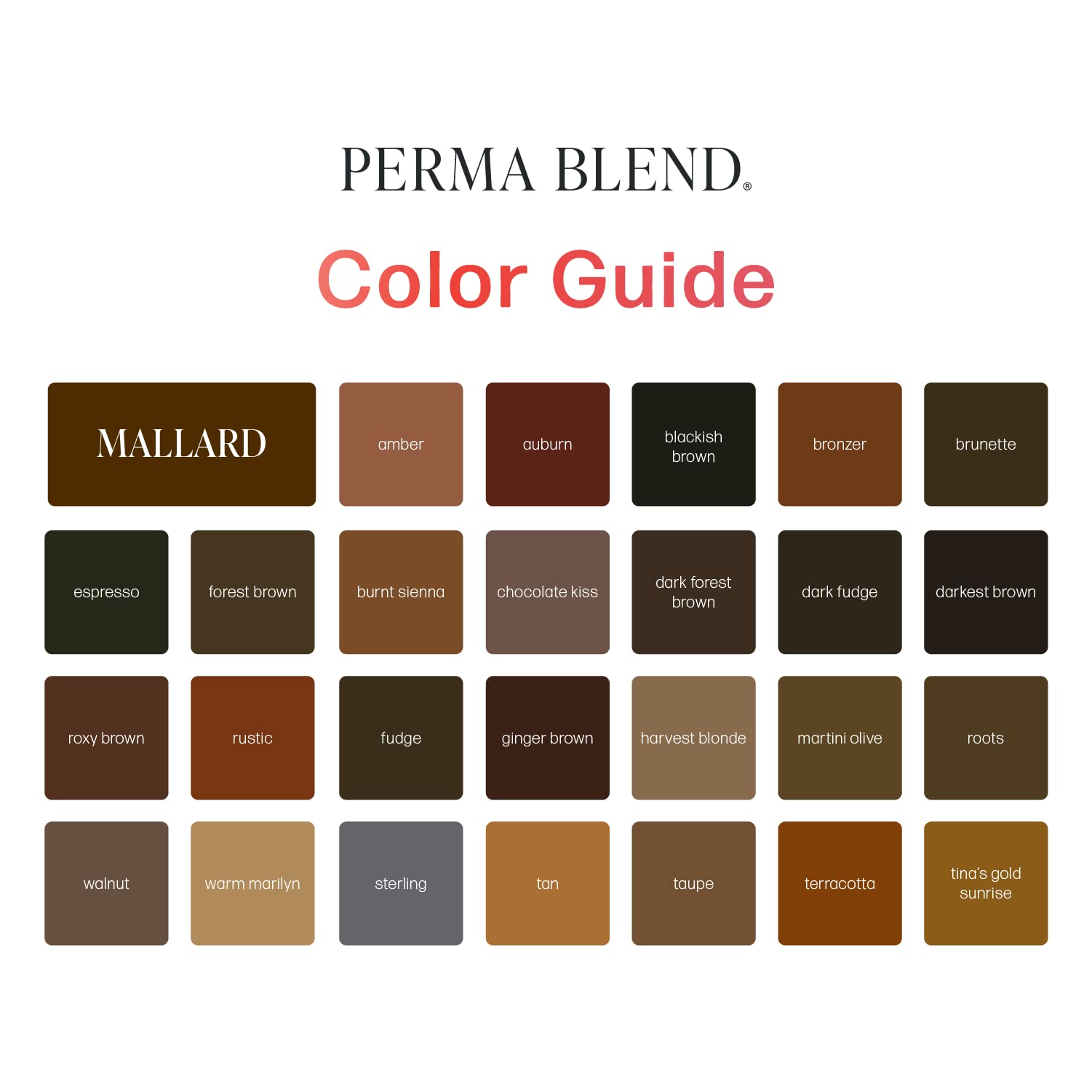Perma Blend Ash Grey Microblading & Permanent Eyeliner Tattoo Ink - Professional Vegan Tattoo Makeup (0.5 oz) - Perfect for Eyebrow Microblading, Eyeliner Tattoos & Permanent Cosmetic Procedures