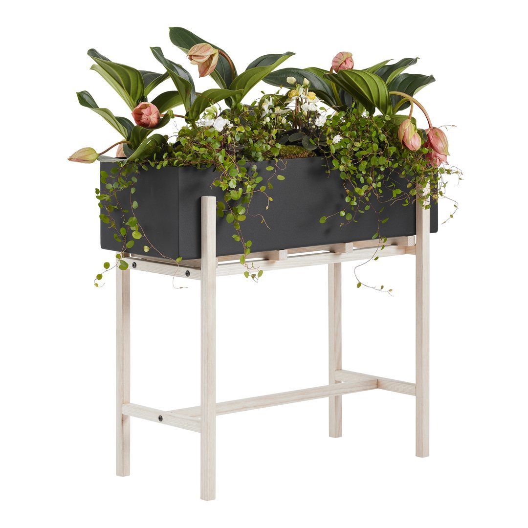 Botanic Standing Pot - Modern Decorative Plant Holder for Home & Office - Indoor & Outdoor Use for Succulents, Flowers & Herbs