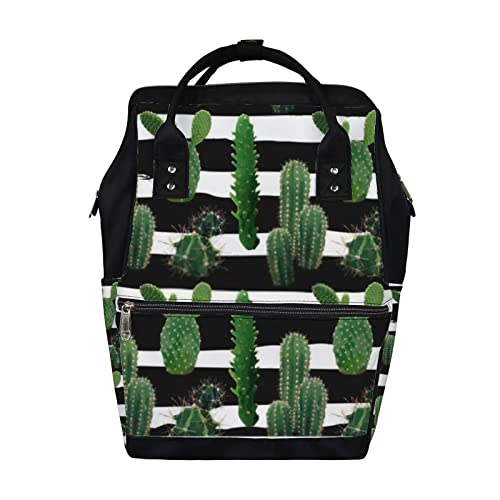 Cactus Plant Exotic Tropical Summer