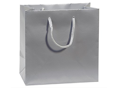 Premium Silver Gloss Laminated Gift Bags (100 Pack) - 6.5