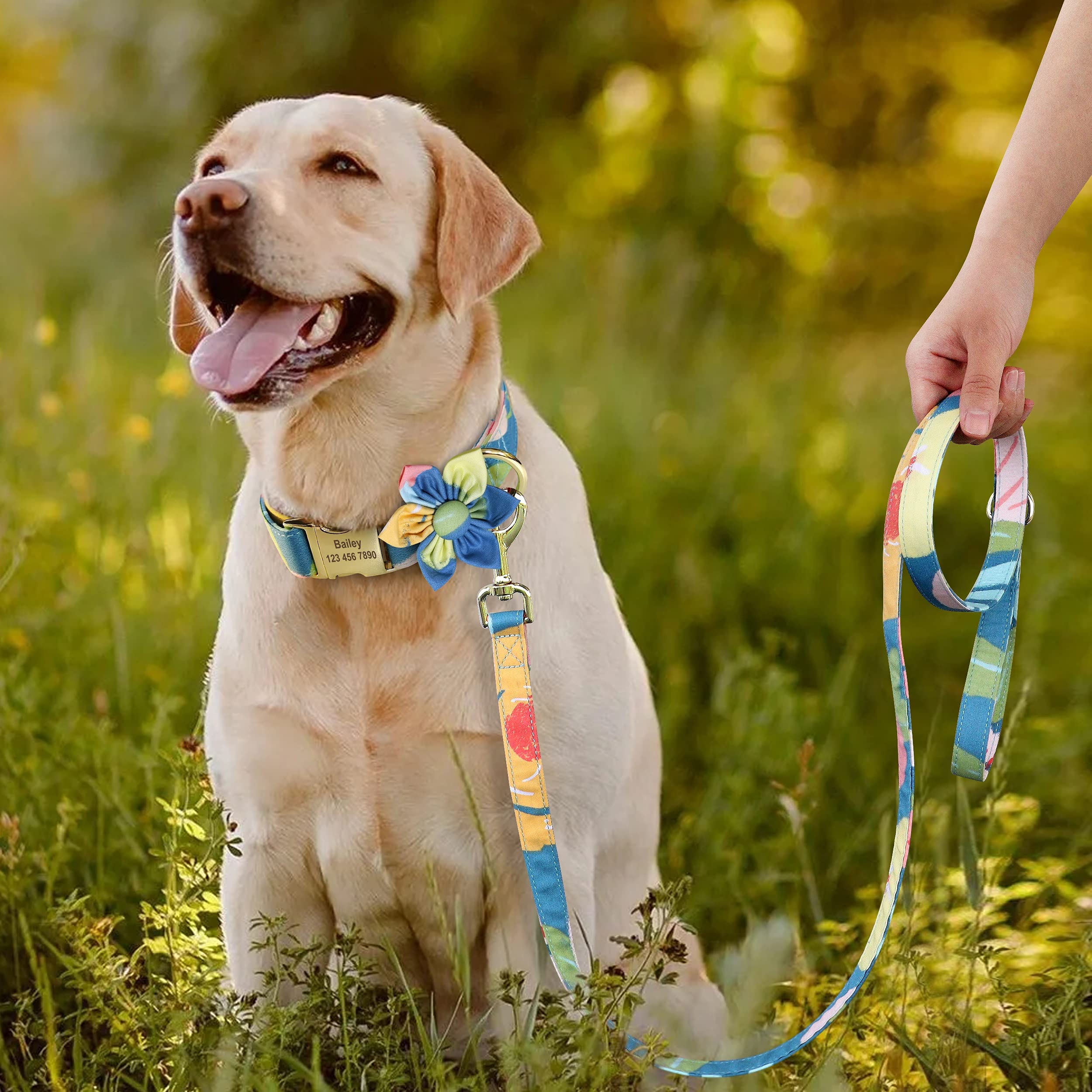 Beirui Custom Floral Engraved Dog Collar & Leash Set for Small Female Dogs - Personalized Gold Buckle Pet Accessories (Ocean Blue, Large) for Weddings, Photo Shoots & Special Occasions