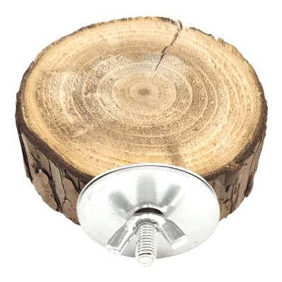Natural Moss Hollow Trunk Perch for Reptiles - Perfect for Terrariums, Vivariums & Reptile Habitats