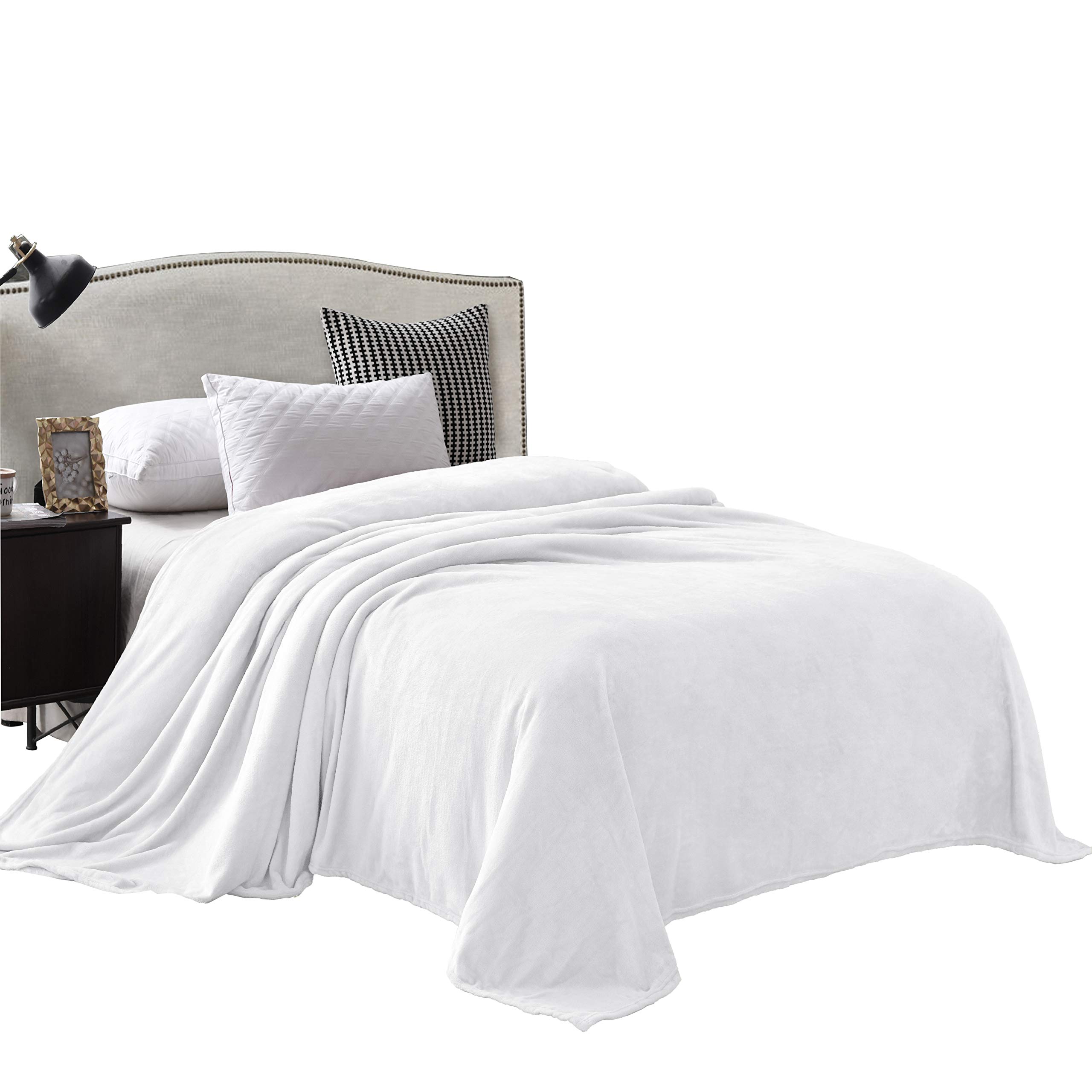 Luxury Velvet Plush Queen Sheet Set - 4 Piece 190 GSM Soft Fleece Bedding (Fitted Sheet 19