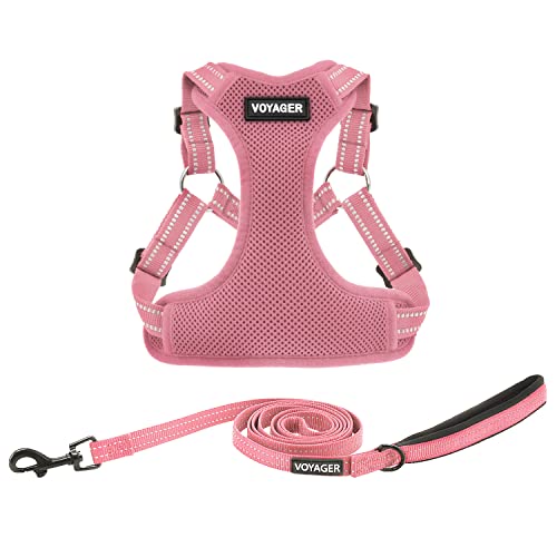 Harness Leash Set (Pink)