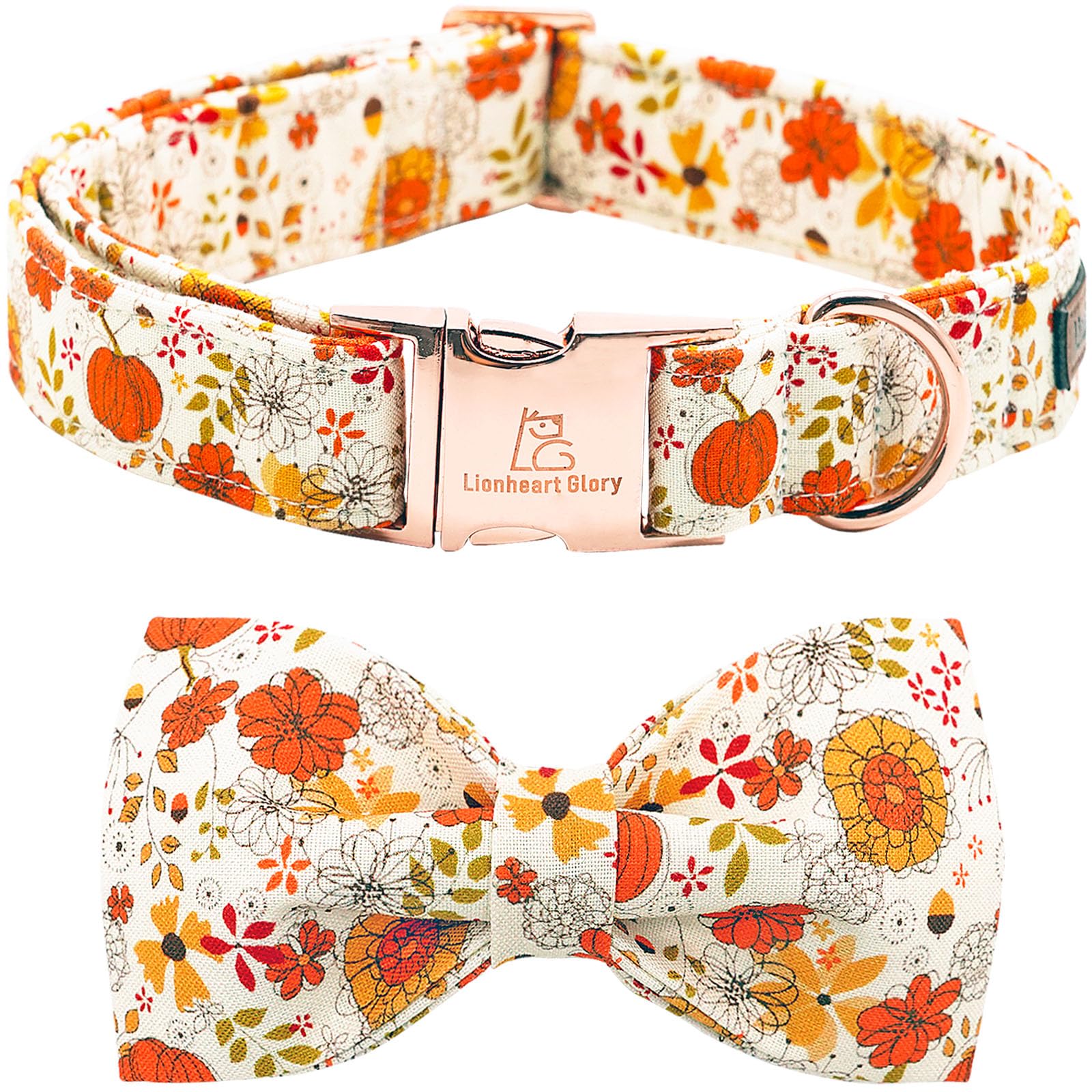 Premium Adjustable Heavy Duty Dog Collar with Bowtie - Fall Pumpkin Design for Medium Dogs | Durable Pet Collar for Daily Walks, Training & Special Occasions