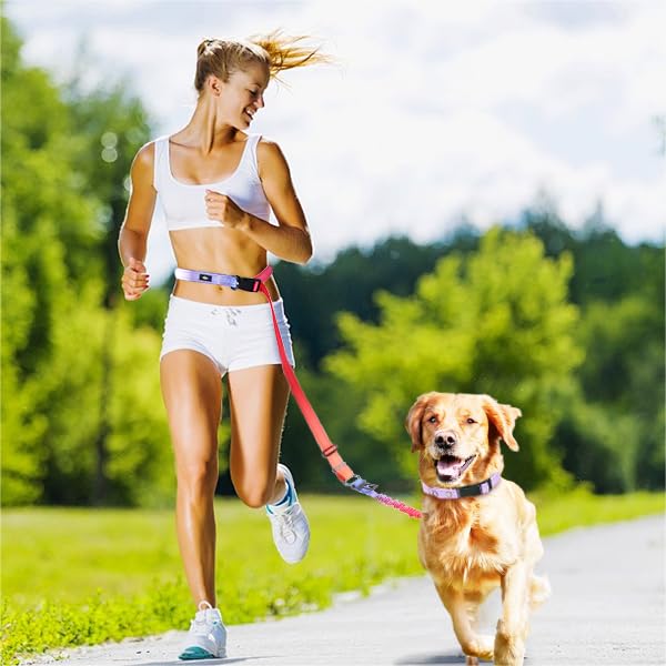 Hands-Free Heavy Duty Bungee Dog Leash - No Pull Running Waist Leash for Walking & Training | Adjustable 4-6FT Reflective Dual Handles with Metal Safe Lock | Perfect for Jogging, Hiking & Car Travel (BEACHLINGER)