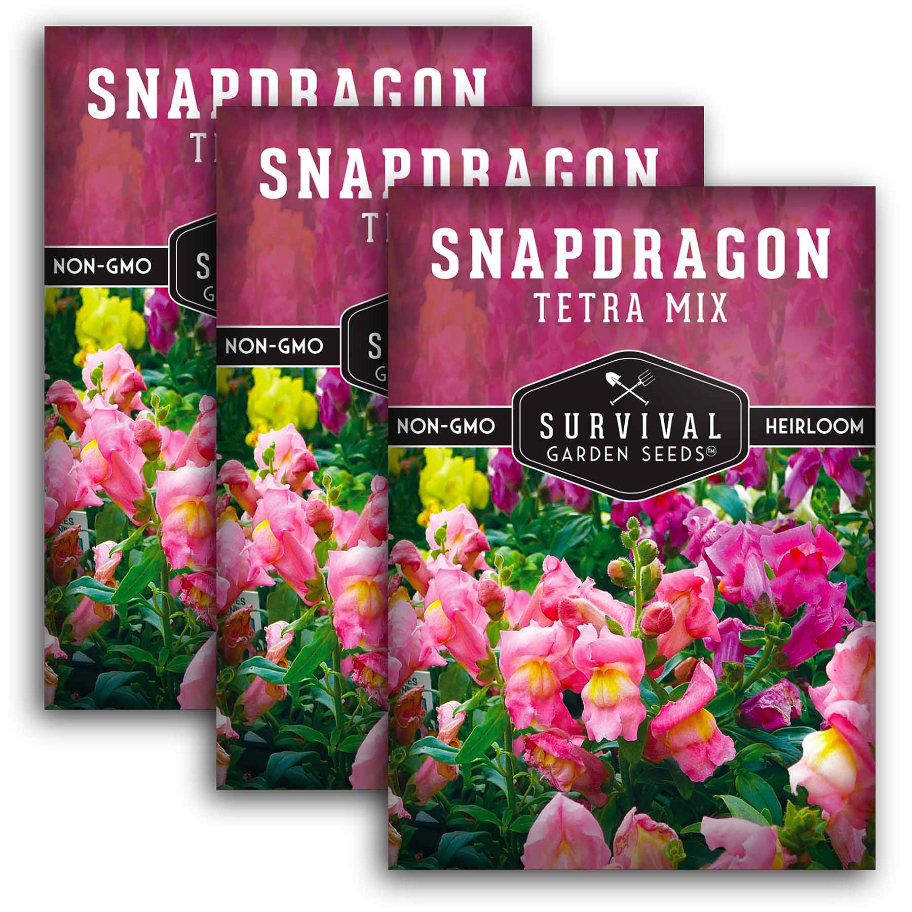Premium Tetra Mix Snapdragon Seeds - Vibrant Color Variety for Garden Beds, Borders & Cut Flower Arrangements | Easy to Grow Annual Flowers for Home Gardening & Landscaping