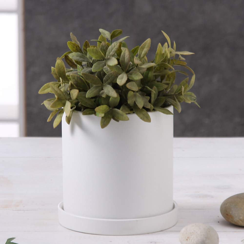 Nordic White Ceramic Flower Pot with Tray - Modern Round Succulent & Cactus Planter with Drainage Hole - Perfect for Indoor Plants, Home Decor, and Office Desk Decoration