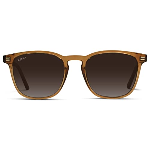 Crystal Brown Frame / Brown Gradient Lens