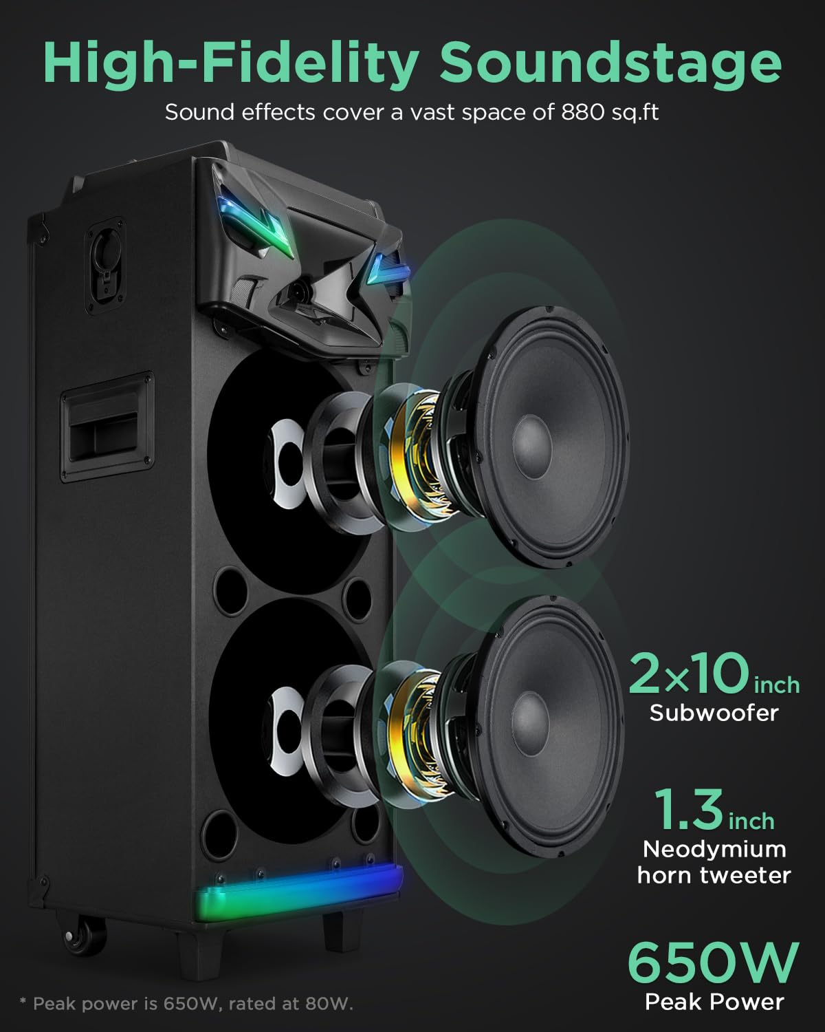 Portable Karaoke Machine for Adults with 10
