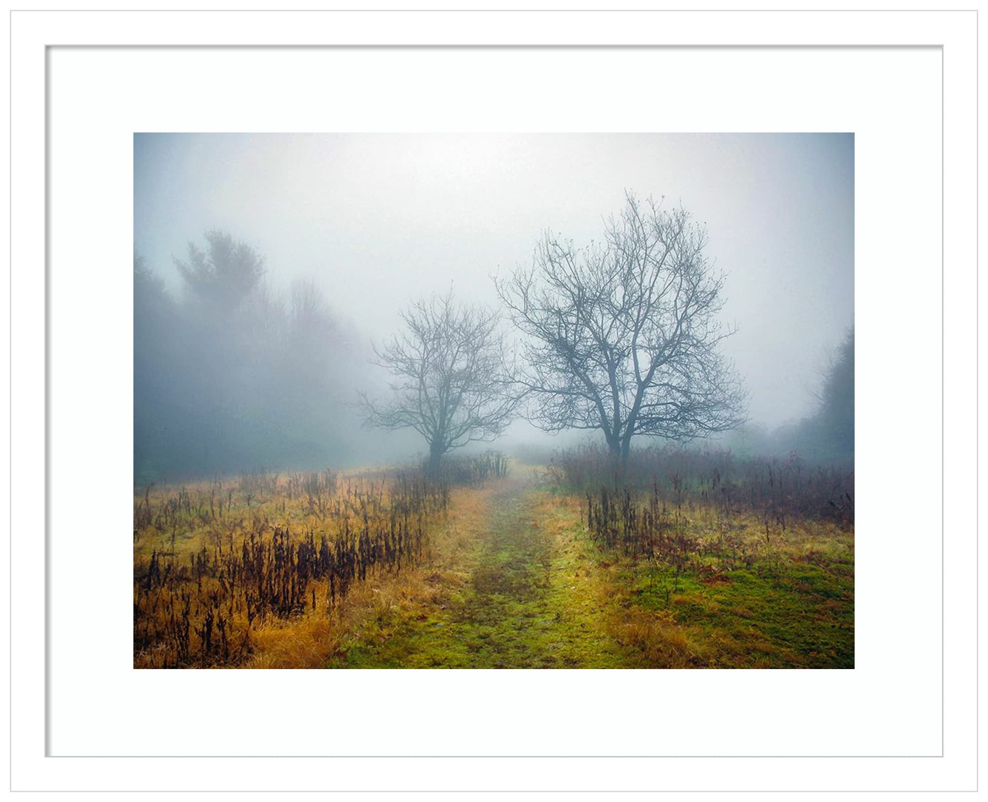 Amanti Art Framed Wall Art Print 17x21 - Magic Meadow Apples Landscape Painting by Kelly Sinclair | Rustic Farmhouse Decor | Small Poster Artwork for Living Room, Bedroom, Bathroom & Kitchen | Perfect for Home, Office & Gift Giving