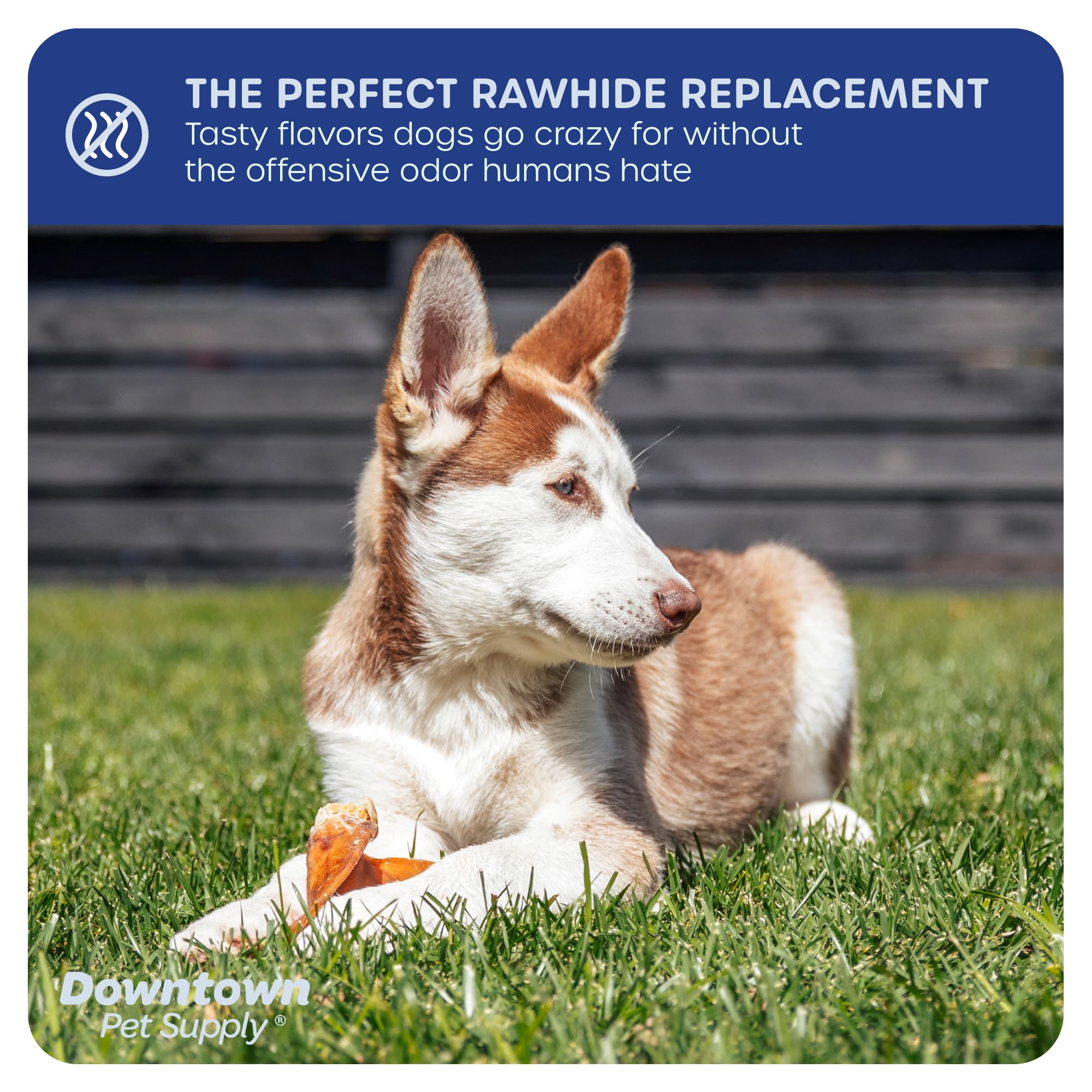 Premium Natural Pig Ears Dog Treats - 5 Pack - All-Natural Chews from South America & Turkey - Perfect for Dental Health & Long-Lasting Chewing Fun