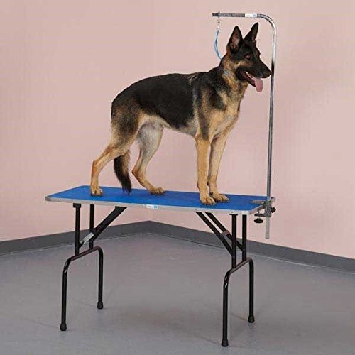 Sturdy Folding Pet Grooming Table with Arm & Loop - 36