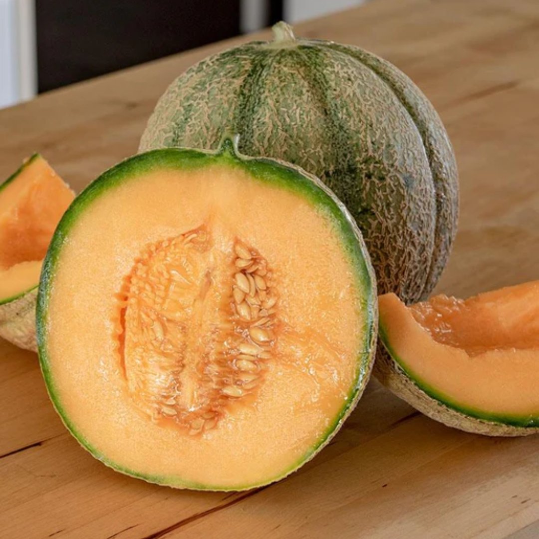 Premium Halona Cantaloupe Seeds for Planting - Sweet & Juicy Melon Variety - Perfect for Home Gardens, Farmers Markets & Organic Farming