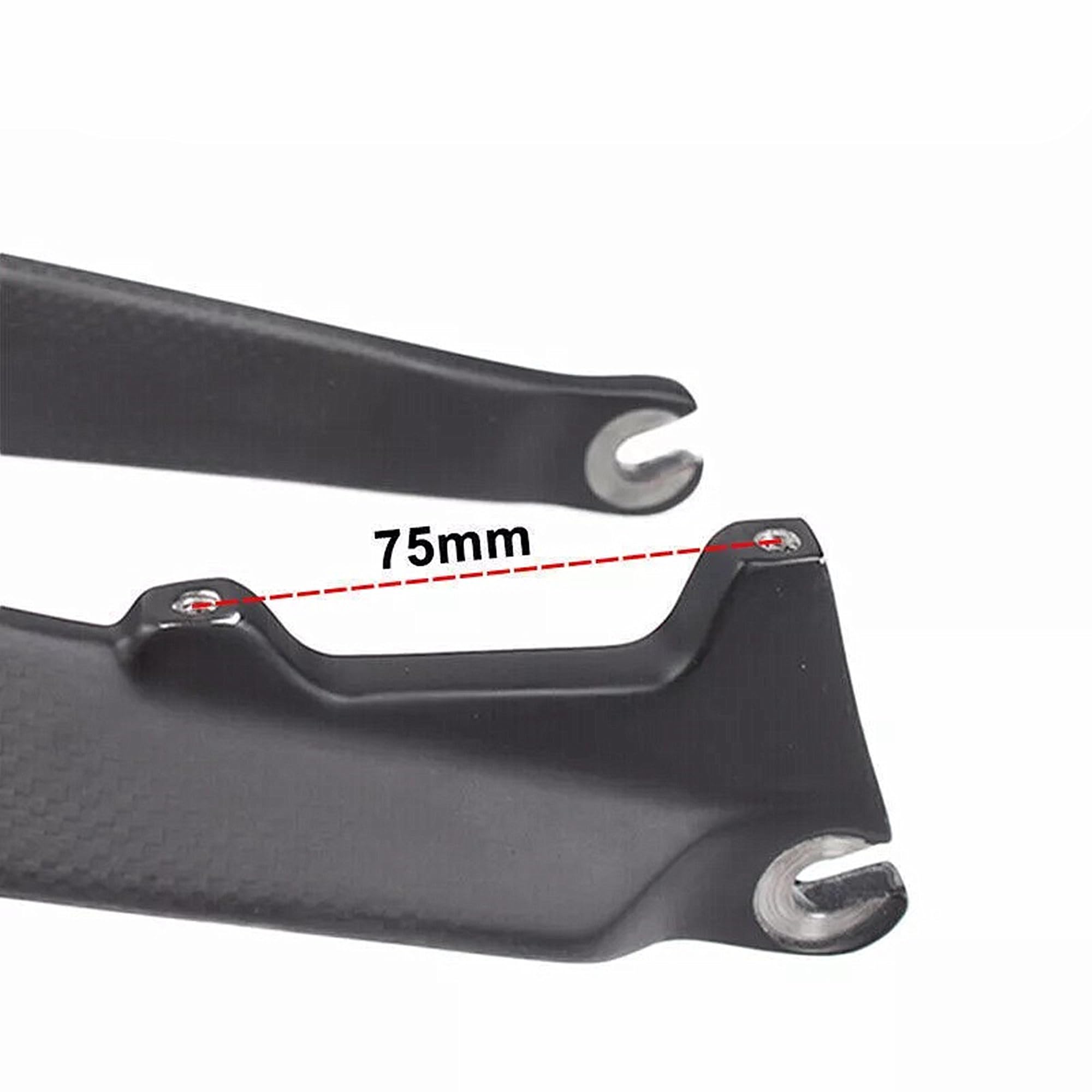BestParts Full Carbon MTB Front Fork - 1-1/8