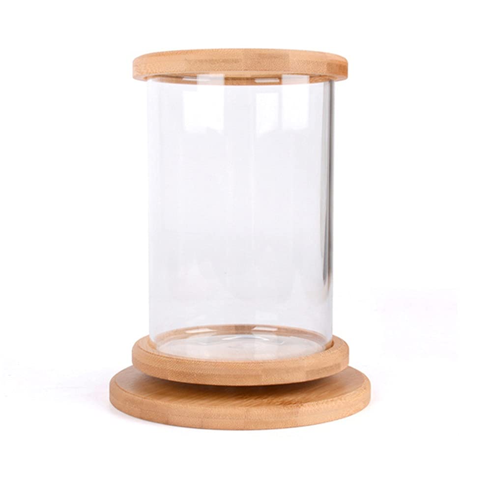 360 Degree Rotating Glass Betta Fish Tank with Bamboo Base - Mini Aquarium Decoration, Rotating Fish Bowl for Home/Office Desk - Perfect for Betta Fish, Small Aquatic Pets & Zen Decor