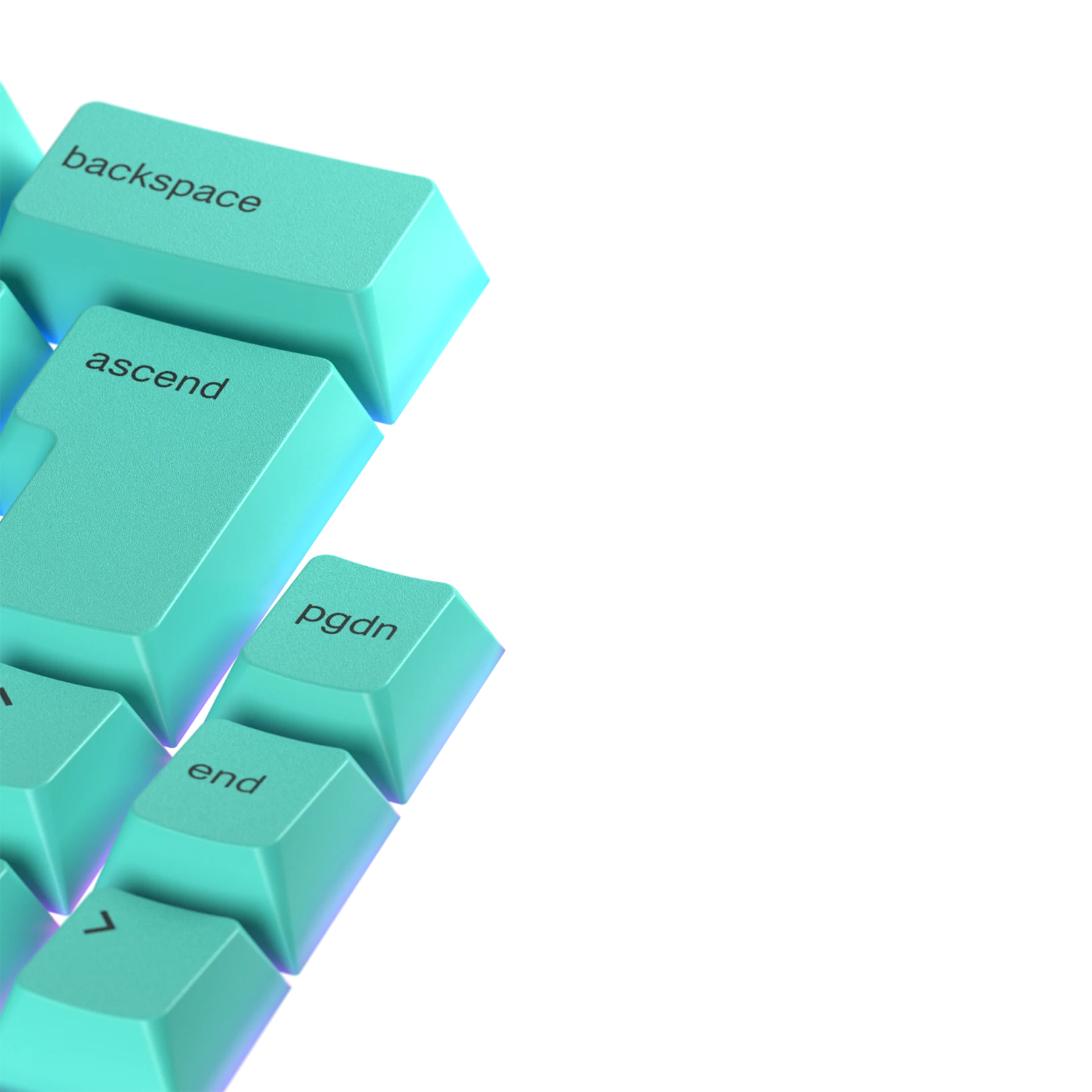 Rainforest Themed Custom Keycaps for Mechanical Keyboards - Durable PBT Material, Cherry MX Compatible - Perfect for Gaming, Typing & Office Work