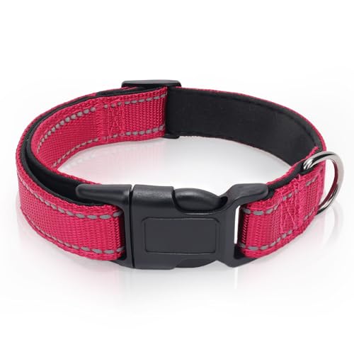 Hotpink