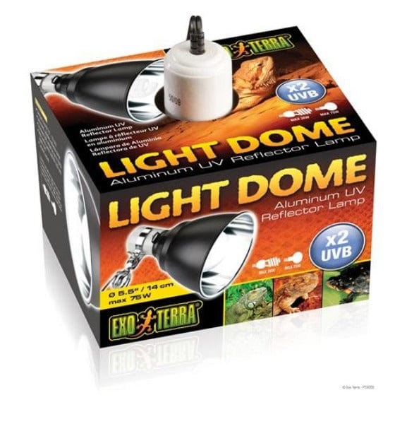 Exo Terra Light Dome - Reptile Basking Lamp Fixture for Terrariums & Vivariums | Ideal for Lizards, Turtles & Amphibians | Energy Efficient & Durable Design