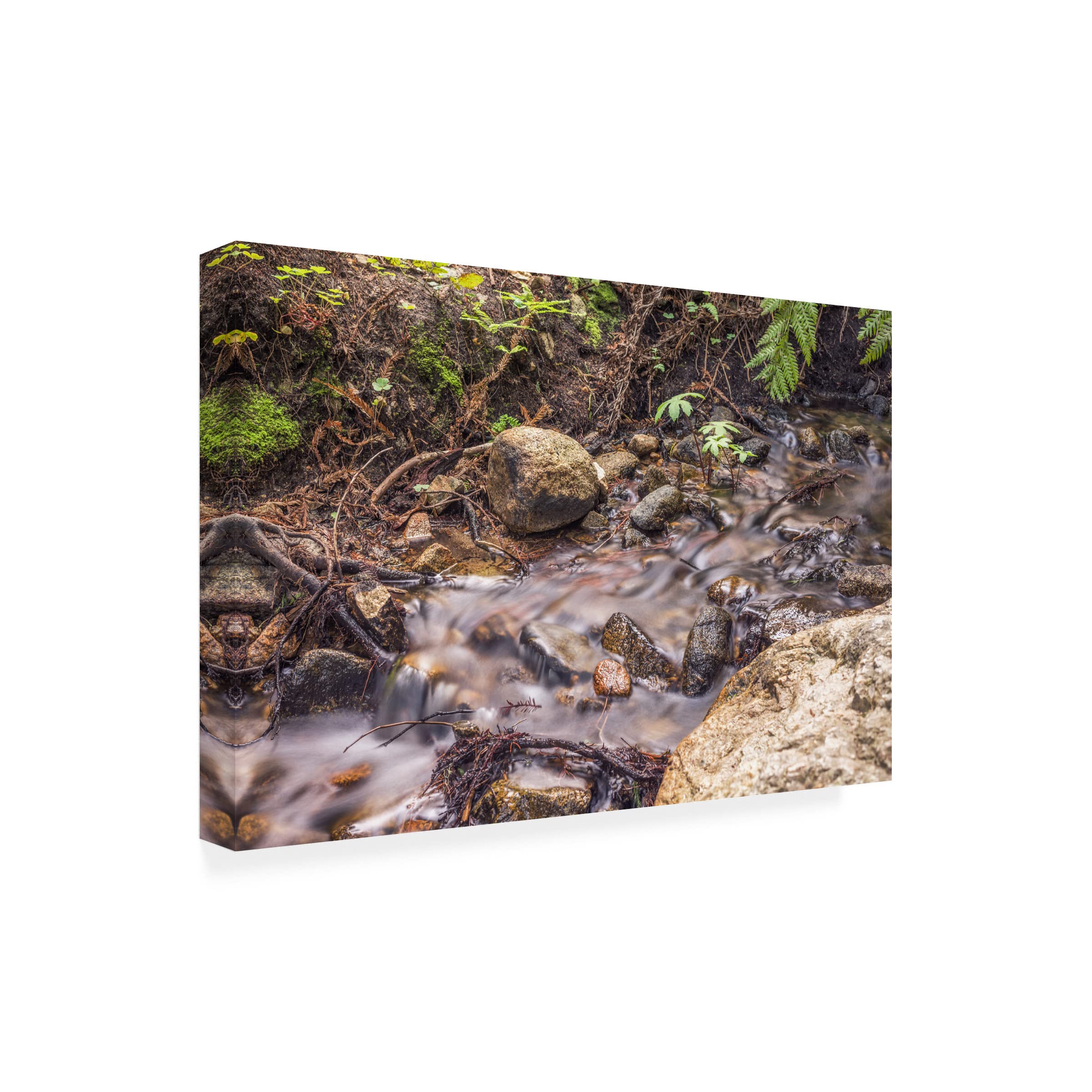 Joseph S Giacalone 'Delicate Creek' 16x24 Canvas Wall Art Print - Landscape Nature Painting for Living Room, Bedroom & Office Decor