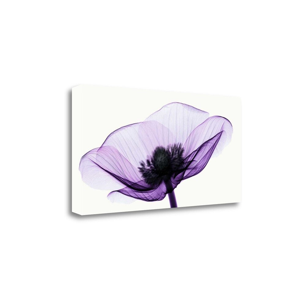 Anemone II By Robert Coop - Premium Giclee Art Print on Gallery Wrapped Canvas, Handmade Wall Art Decor for Living Room, Bedroom & Office - Ready to Hang Framed Painting