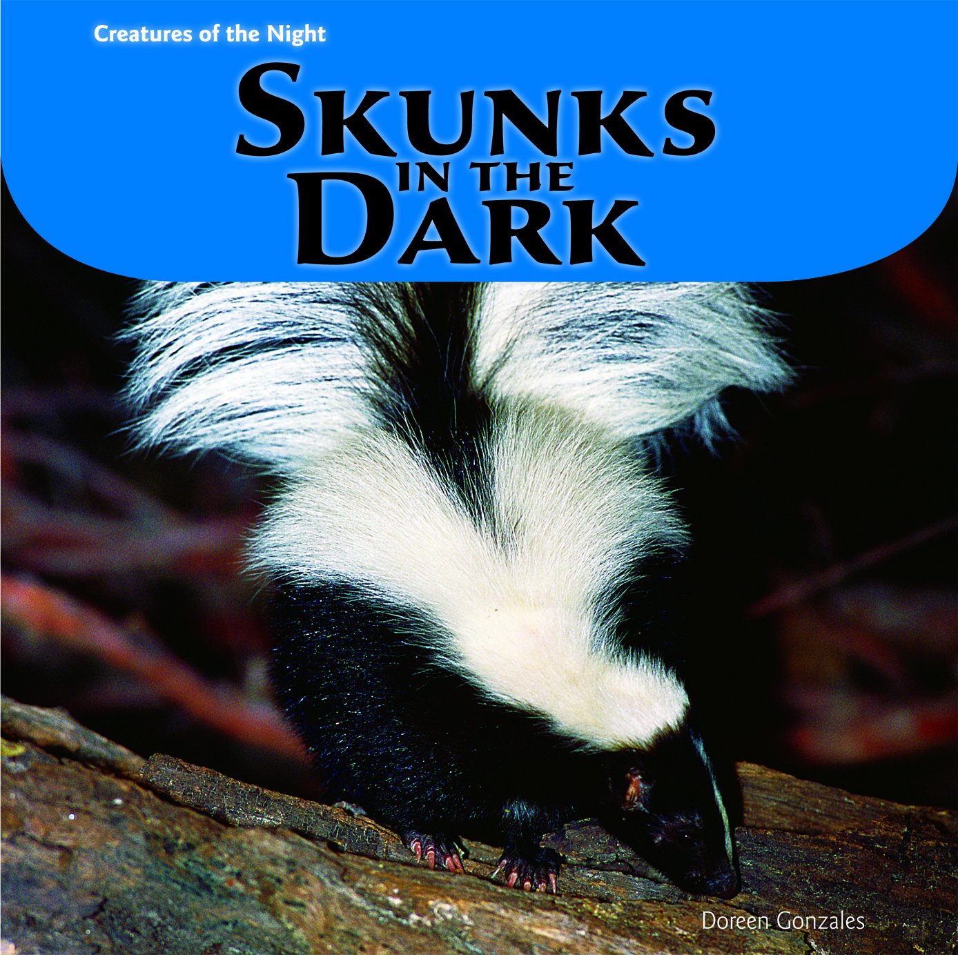 Skunks in the Dark - Nocturnal Wildlife Book | Learn About Nighttime Animals & Their Habitats | Perfect for Nature Lovers & Kids' Bedtime Reading