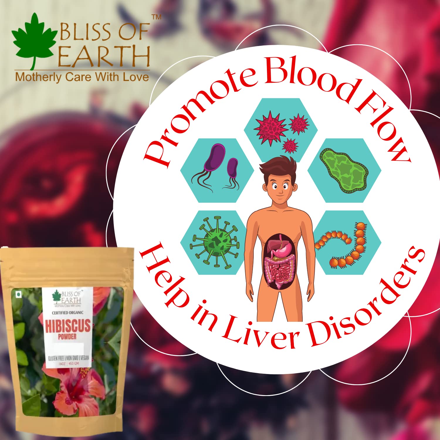 100% Pure & Natural Hibiscus Powder for Hair Growth & Skin Care - 100GM | Strengthens Hair, Reduces Acne & Anti-Aging Solution | DIY Hair Masks, Face Scrubs & Natural Beauty Treatments