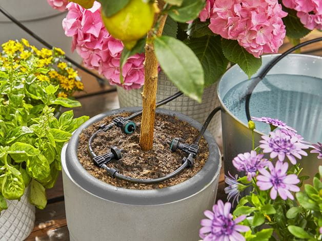 Gardena Solar Powered Irrigation AquaBloom Set - Automatic Watering System for Gardens, Lawns & Potted Plants | Eco-Friendly Drip Irrigation Kit for Outdoor & Indoor Plants