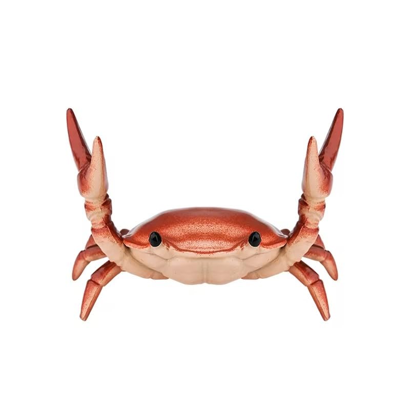 Weightlifting Crab Pen Holder - Creative Office Desk Organizer for Pens, Pencils & Supplies - Fun Desk Accessory & Workspace Decor (Red) - Perfect for Home Office, Study & Gift Giving