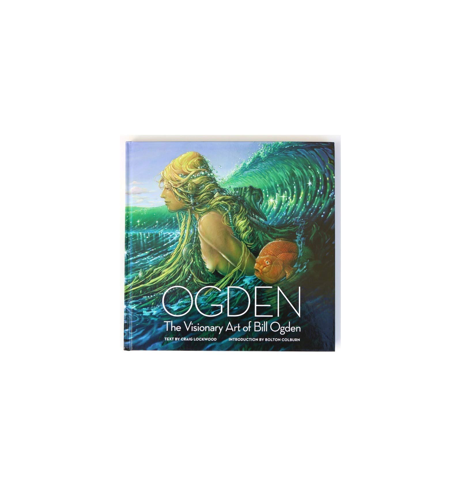 Unisex Adult Books - Multi-Colored Reading Collection for Men & Women - Perfect for Home Libraries, Book Clubs & Gifts