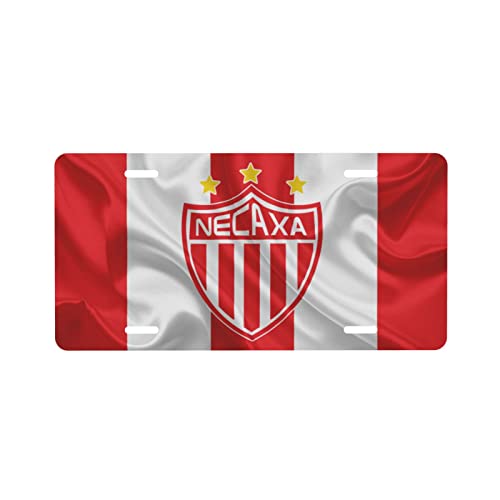 Club Necaxa
