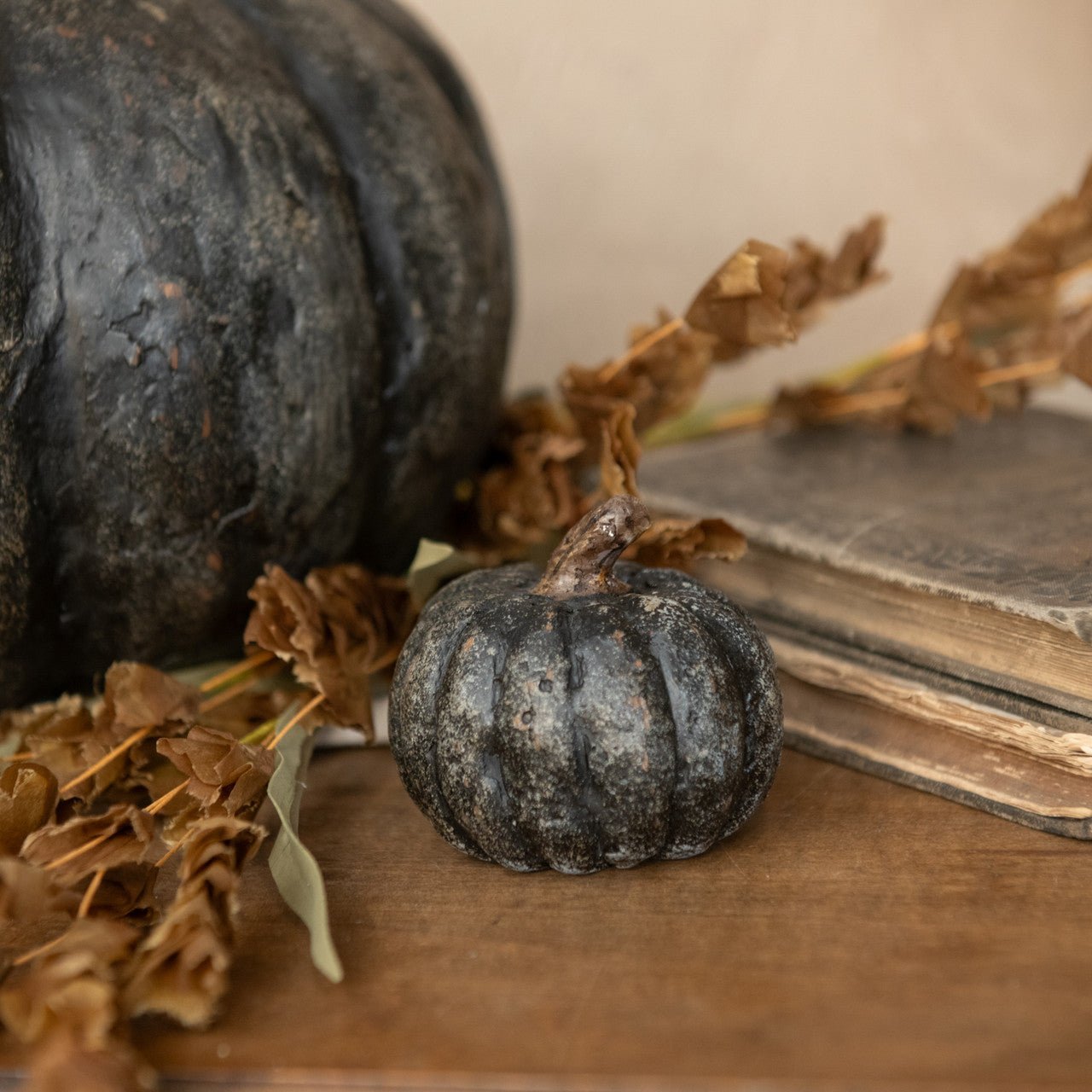 Black Mache Pumpkin - Premium Dried Pumpkin for Cooking, Baking & Decor - Perfect for Fall Recipes, Halloween Decor & Healthy Snacks