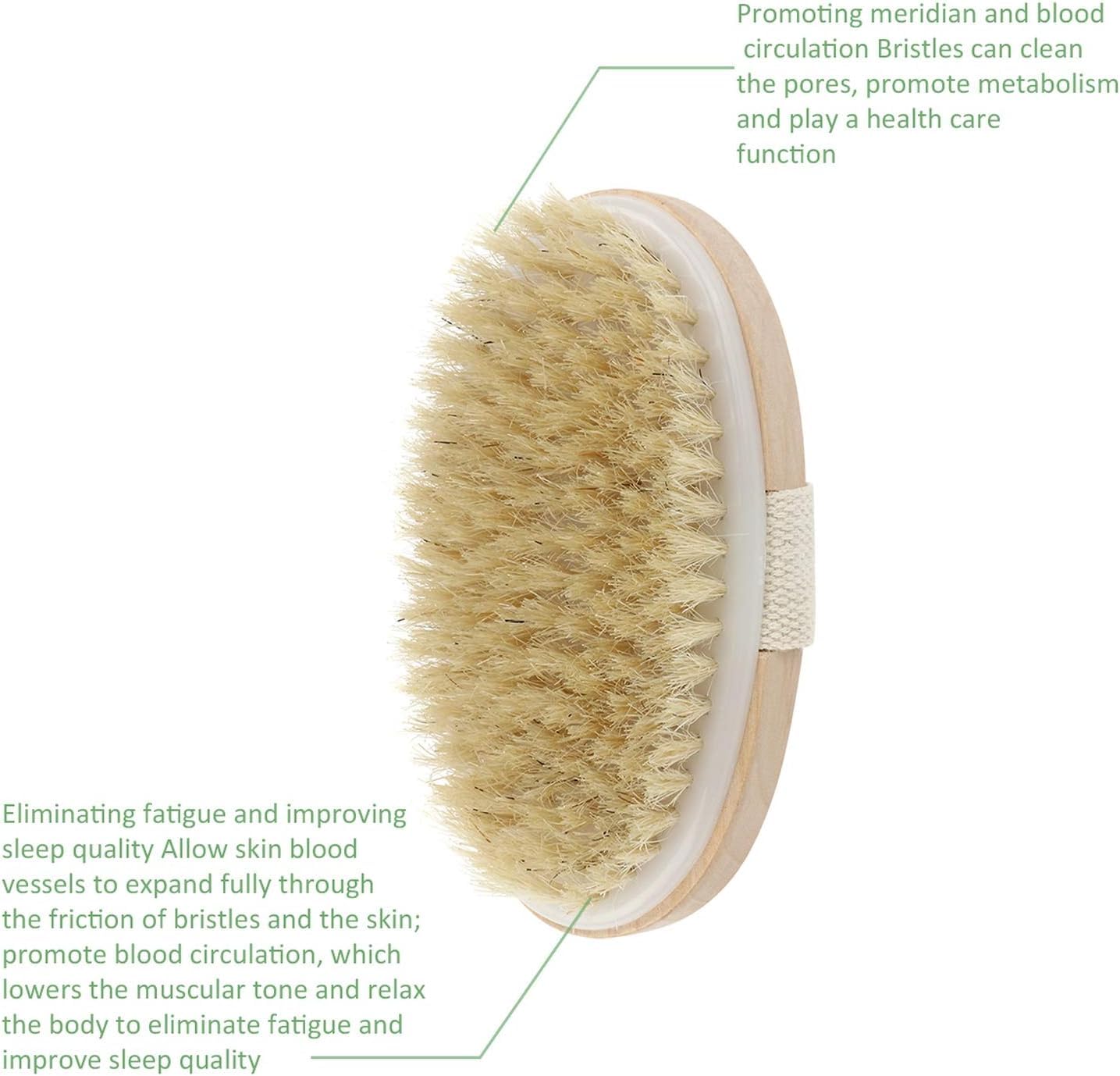 Natural Bristle Dry Skin Body Brush - Wooden Exfoliating & Massage Scrub Brush for Cellulite, Lymphatic Drainage & Improved Blood Circulation | SPA Quality for Soft Skin, Home & Shower Use