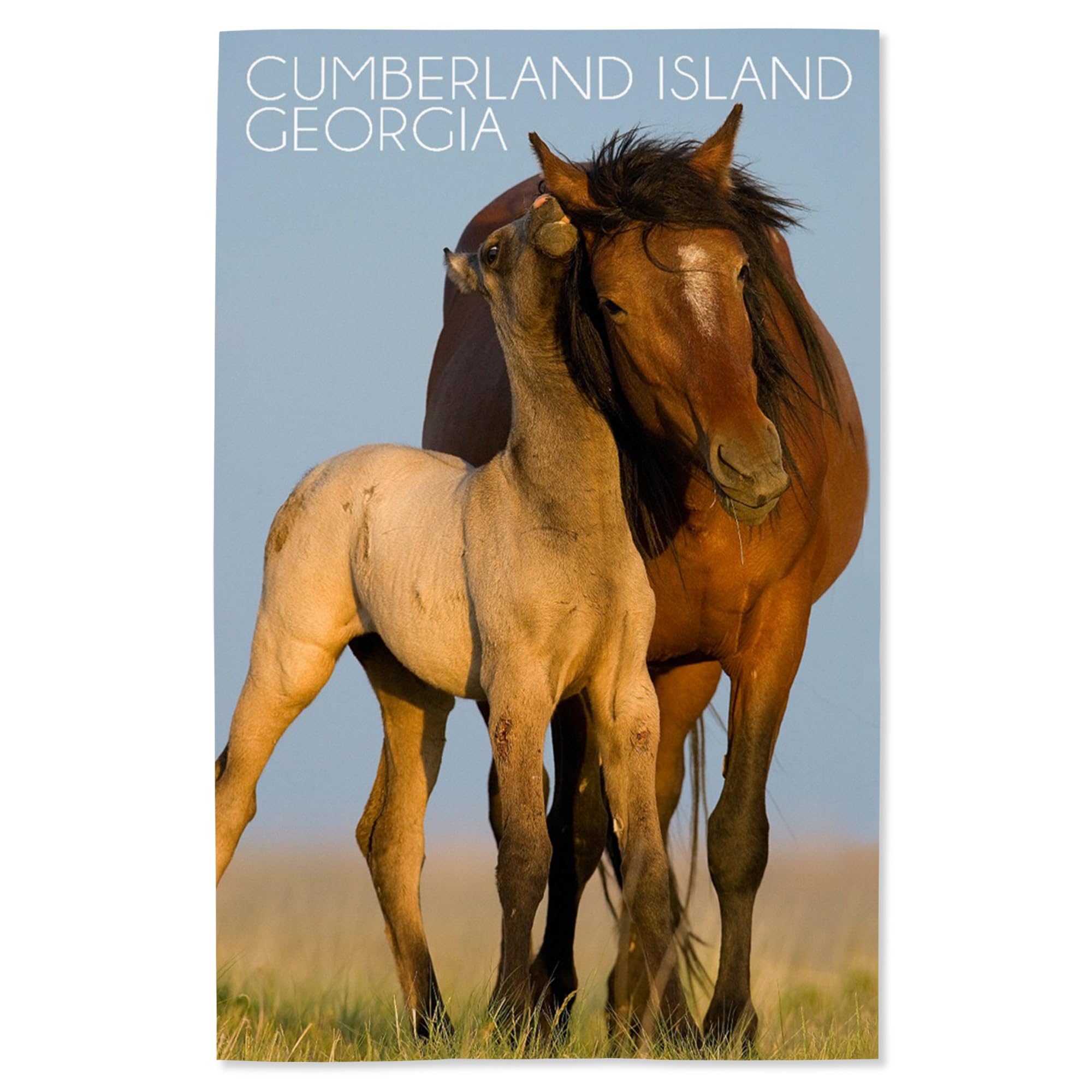 Lantern Press 16x24 Inch Giclee Art Print - Cumberland Island Georgia Wild Horses Landscape Wall Decor - Perfect for Living Room, Bedroom & Office Wall Art