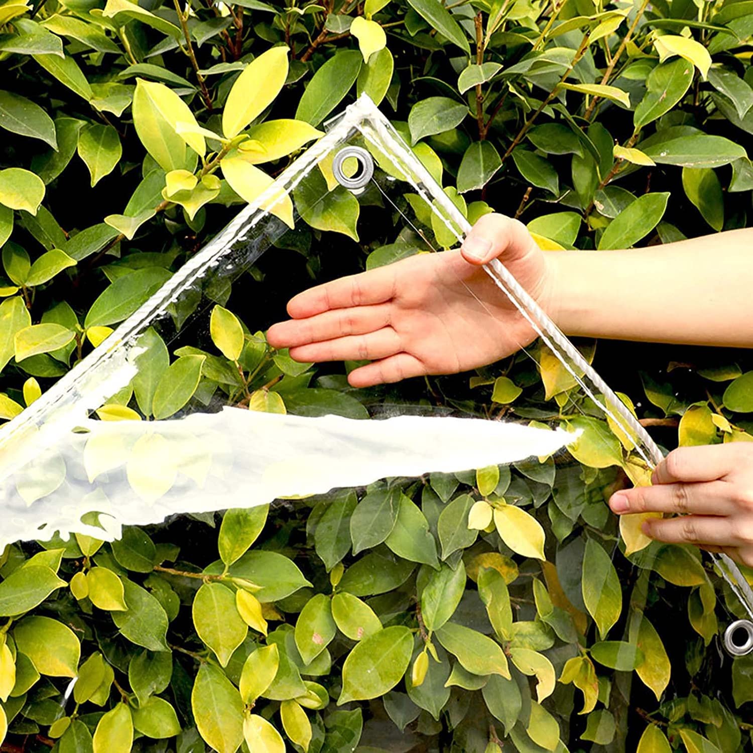 10x1m Clear Heavy Duty PVC Waterproof Tarp - Transparent, Dustproof & Rainproof with Reinforced Grommets - Ideal for Greenhouse Covers, Plant Protection, Patio Furniture & Outdoor Equipment Shelter