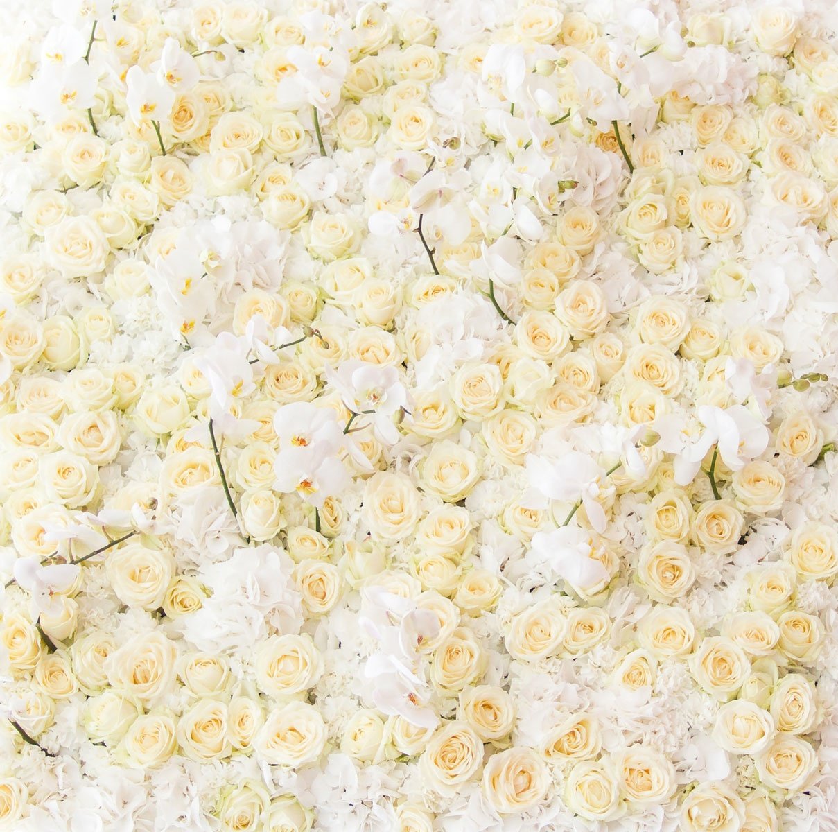 8x8ft Beige Rose Wedding Backdrop with Pocket - Romantic Floral Photography Background for Weddings, Birthdays, and Events - Perfect for Indoor/Outdoor Photo Shoots, Bridal Showers, and Party Decorations